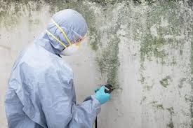 Forensic Mold Investigation in Hewlett, NY